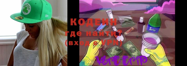 прущие грибы Армянск
